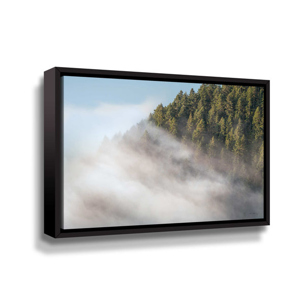 Millwood Pines Fog And Forest On Canvas Print | Wayfair