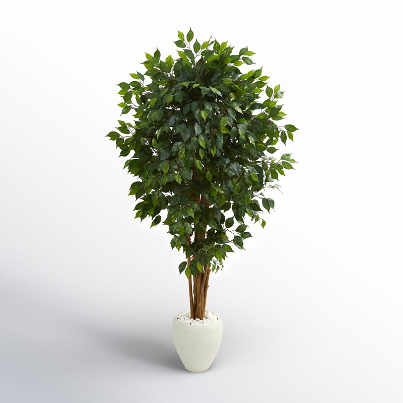 72'' Faux Ficus Tree in Ceramic Planter
