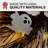 Haunted Hill Farm 20-In. Battery-Operated Natural Twig Wreath with LED Lights and Spooky Ghosts