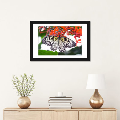 «White Butterfly», photographie sur toile tendue