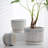 Flower Pots,Texture Planter For Indoor Plants Set Of 3 Ceramic Flower Pots With Saucer,Cute Garden Pots Succulent Pots(3 Pack)