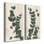 Poetic Flora Set III par Olivia Rose - ensemble de 2 reproductions d'art graphique sur toile tendue-555656639