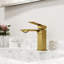 Robinet de salle de bain à poignée simple Dunn -69840068