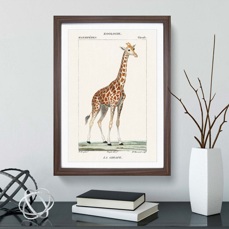 Giraffe by P.J.F. Turpin - Picture Frame Painting Print, Walnut Framed, 36cm H x 27cm W x 2cm D
