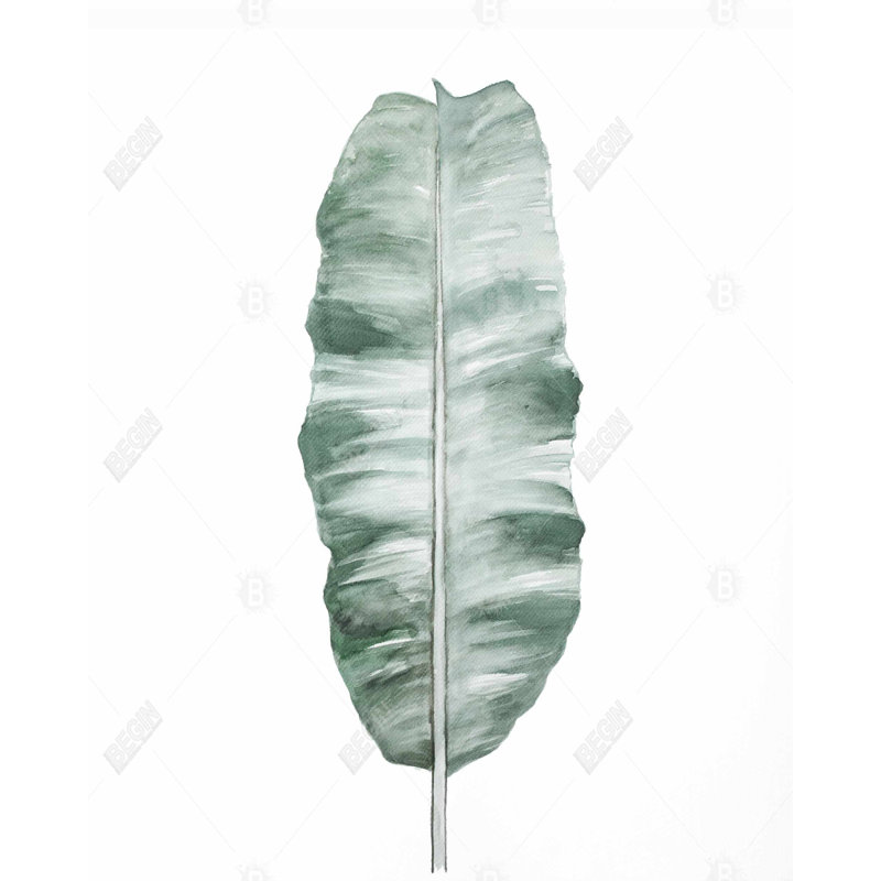 Banana Leaf Print On Canvas