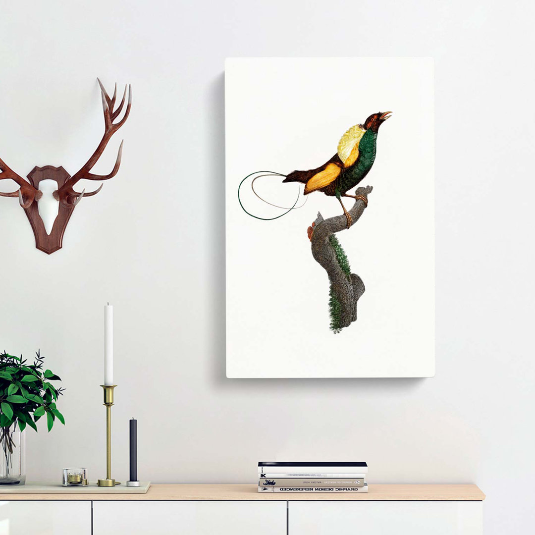 A Magnificent Bird of Paradise by Jacques Barraband - Wrapped Canvas