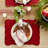 Aricijana Quilted Placemat-616543006