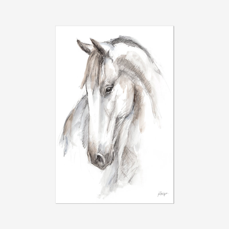 Equine Study II by Ethan Harper - Print, Paper Print, 122cm H x 81cm W