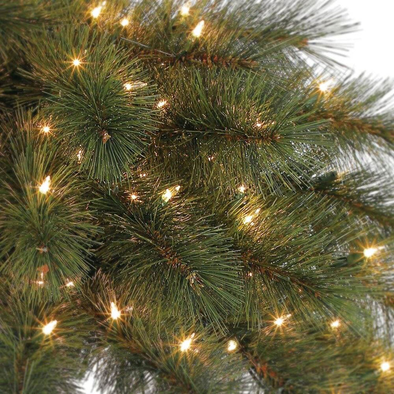Island Breeze 5 Foot Pre-Lit Artificial Tropical Christmas Palm Tree (2 Pack)