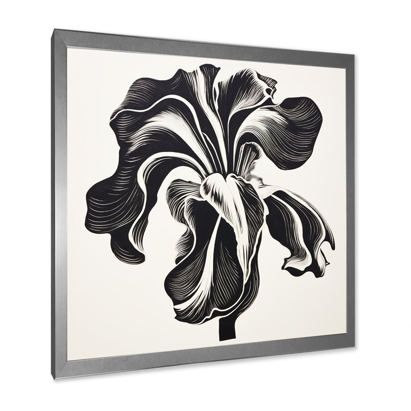 Fleur d'iris noir et blanc sur toile, H 24 po x l 24 po x P 1 po, Cadre simple argenté
