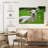 Brampt Funny Lamb-107846946