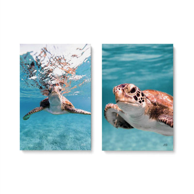 Ensemble de 2 impressions sur toile dans un cadre noir, "Sea Turtles", 36 po x 24 po