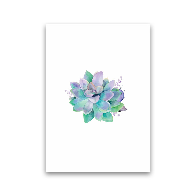 Aqua Succulent - Print, No Framed, 59cm H x 42cm W x 1cm D