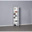 Baneen 8 Pair Shoe Storage Cabinet