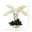 23 po Arrangement artificiel orchidée phalaenopsis en pot de céramique blanche (Real Touch)
