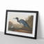 Blue Heron by John James Audubon - Picture Frame Art Print on MDF-55545459-55545460