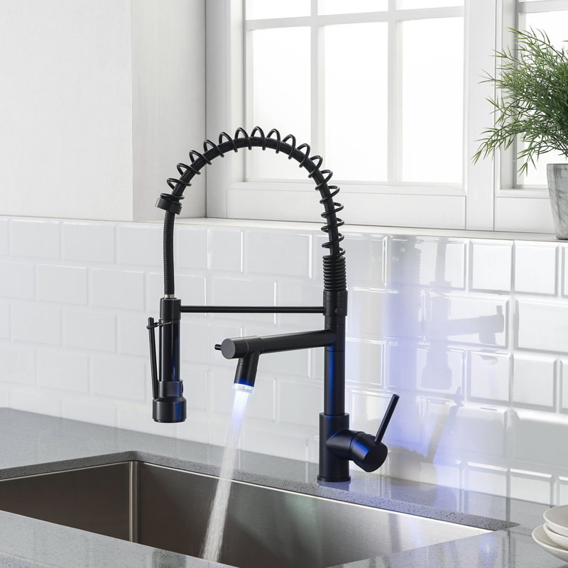 Robinet de cuisine moderne à poignée simple avec accessoires, noir mat et nickel brossé, Noir mat