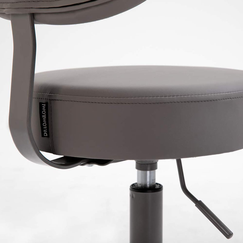 Pneumatic Swivel Rolling Stool Chair with Backrest 503 KAI, Gray