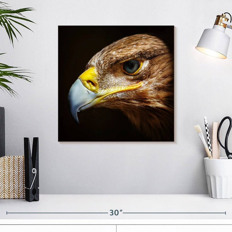 Visage d'aigle Crowle, H 16 po x l 16 po