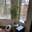 Customer photo 5 of 5