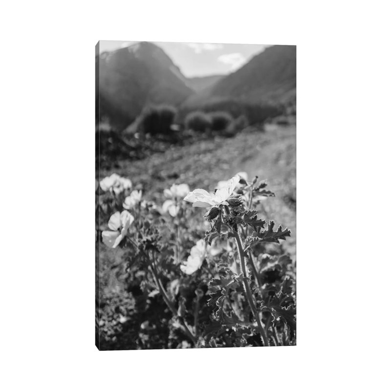 Monochrome Yosemite Blooms by Bethany Young - Print on Canvas, 66.04cm H x 45.72cm W x 3.81cm D, Wrapped Canvas
