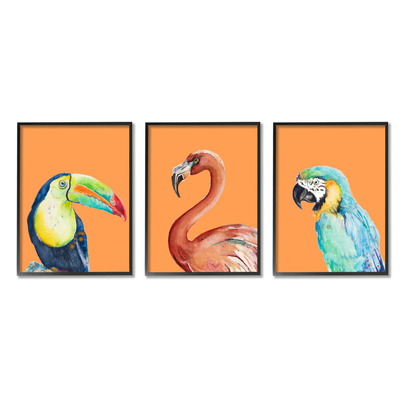Bold Tropical Birds Rainforest Animals Canvas Print with Black Frame