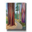  «Farewell Sequoia» par Melba Browne, art mural sur toile, 40 po x 54 po