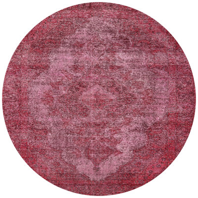 Oriental Indoor Rug