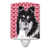 Black and White Collie