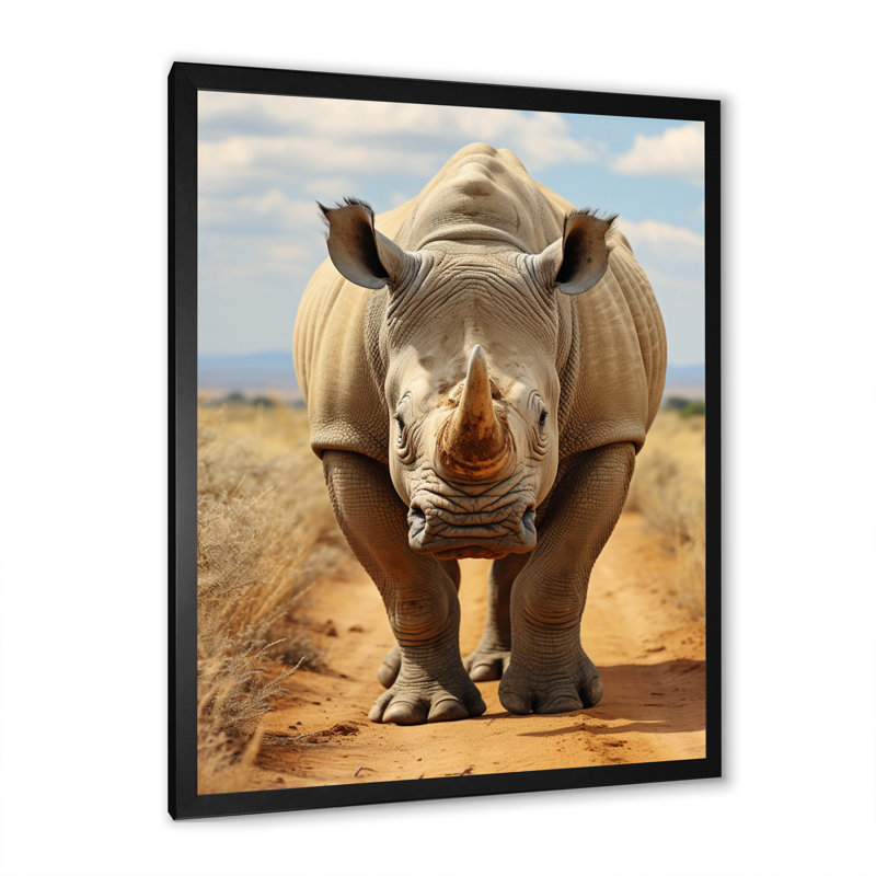 Impression sur toile «African Rhincoeros Extremely Angry II - Animals», H 32 po x l 16 po x P 1 po, Cadre simple noir
