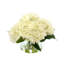 Hortensias en vase-1961224517