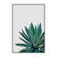 « agave cactus »-impression photographie-49905608-49905610