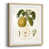 Natural Framed Paper selected