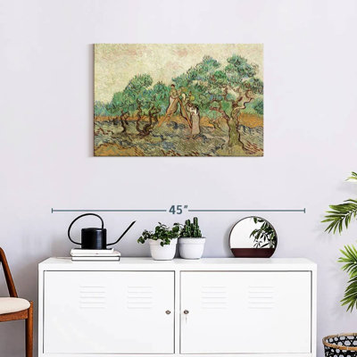 Senne The Olive Orchard