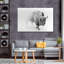 Wild Bison, reproduction sur toile-1032866744