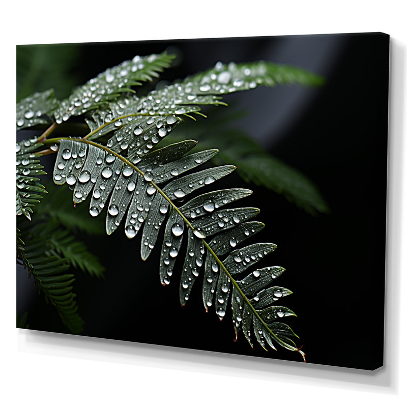 «Ferns Charm in Winter», reproduction sur toile, Toile tendue, H 24 po x l 32 po x P 1 po