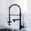 FLG Pull Down Kitchen Faucet-63292499