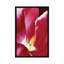 « look approches », impression sur toile-29483229-73578343-73578342
