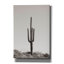 "Epic Graffiti" Saguaro Af après-midi "par Nathan Larson, art mural sur toile-102866442