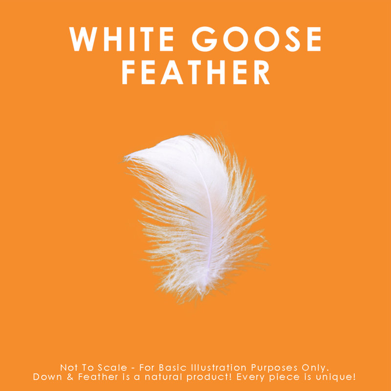 King Size White Goose Feather Hypoallergenic Firm Support Pillow Set