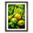 Walnut Framed selected