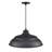 Breakwater Bay R Series 1 Light Cord Hung Aluminum Warehouse in Satin Black