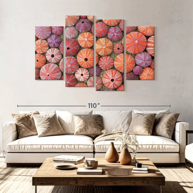 Oursins colorés séchés Brampt, H 54 po x l 84 po