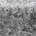 Granite