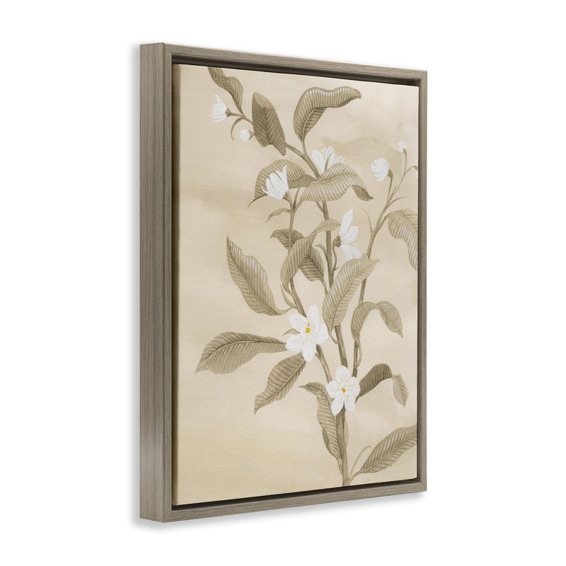  «Neutral White Daffodils», art mural encadré flottant par Grace Popp, H 31 po x l 25 po, Cadre flottant orme Montalcino