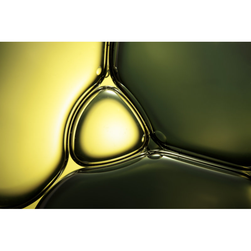 Abstract Green Macro Background by Thomasvogel - Wrapped Canvas Print, 81cm H x 122cm W x 3.8cm D