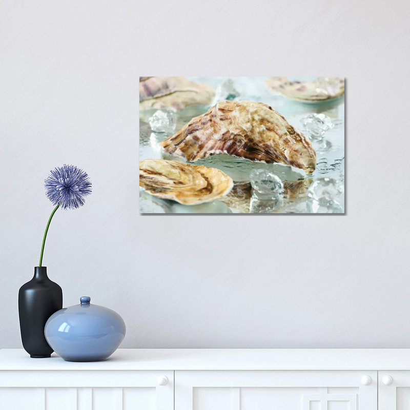 Oyster Shell by Depositphotos - Wrapped Canvas Gallery-Wrapped Canvas Giclée, 30.48cm H x 45.72cm W