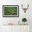 Green Tree Tops - Picture Frame Graphic Art Print-56713545-56713546