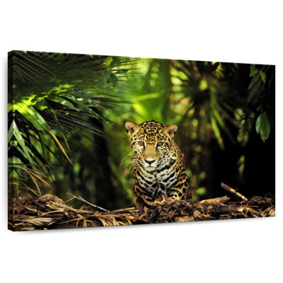 Belize Jungle Jaguar