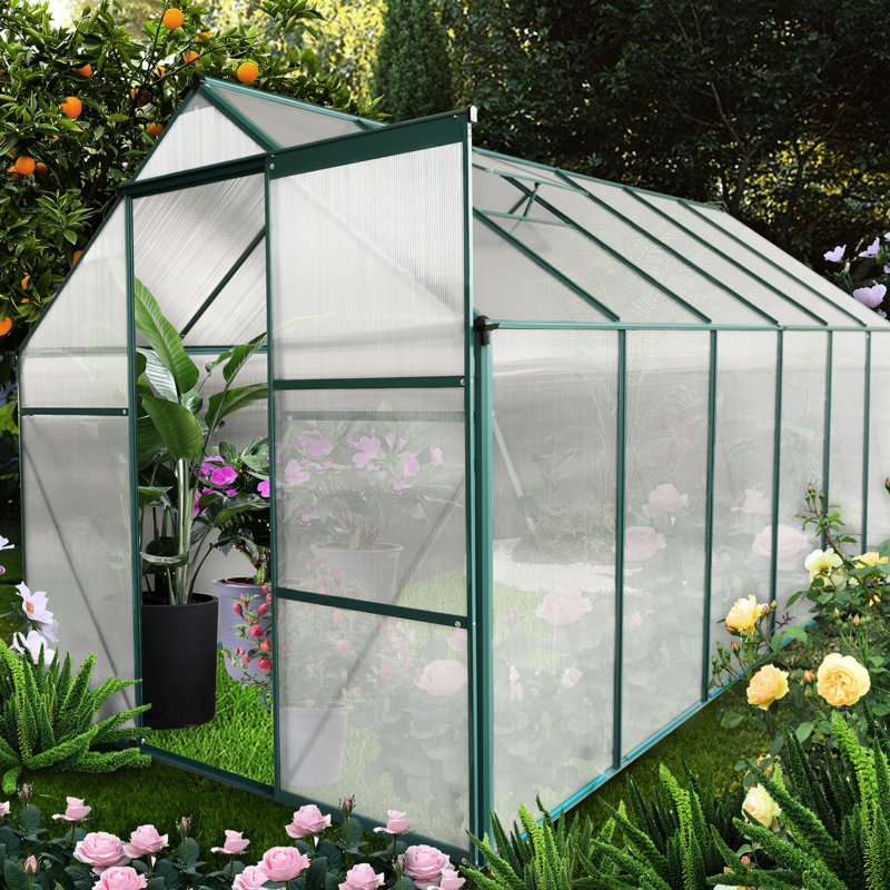 Serre toute saison 6 pi x 12 pi - Polycarbonate avec cadre et base galvanisée bloquant le drainage